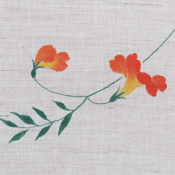 麻のれん(凌霄花) /のうぜんかずら