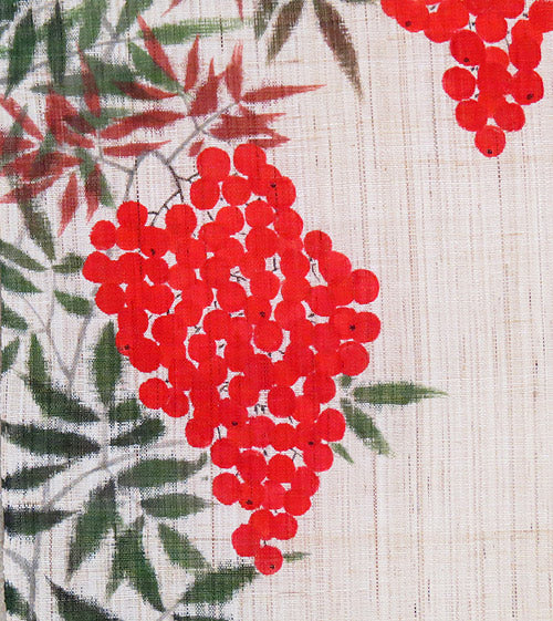 麻のれん(紅南天)