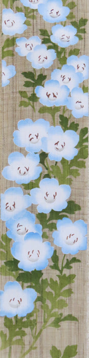 Thin tapestry (Nemophila)