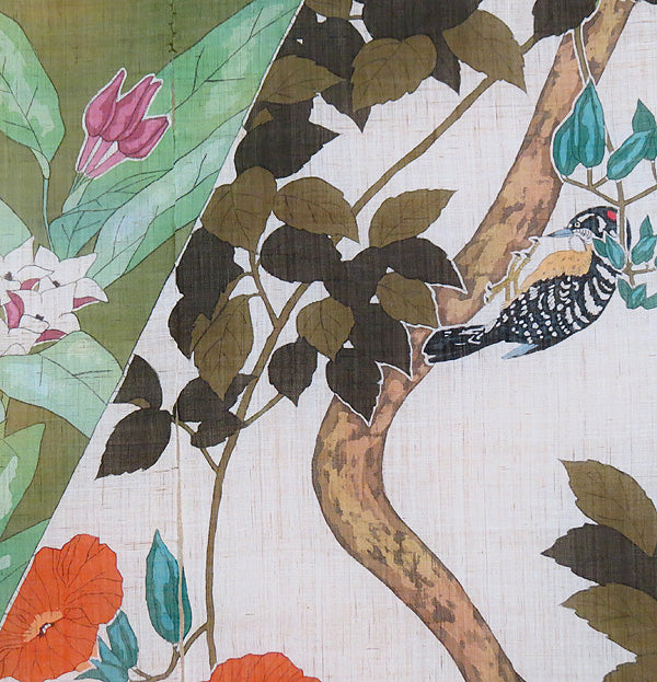 Hemp Curtain (trumpet creeper)/nouzenkazura/Kobo Korumu 