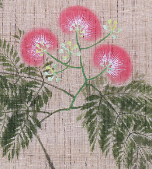  Hemp noren (Albizia julibrissin) kanki no hana