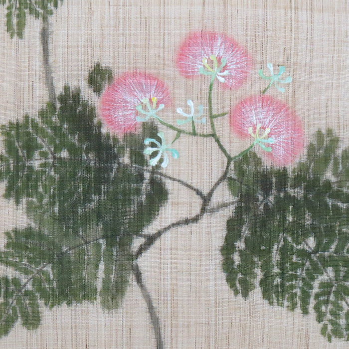  Hemp noren (Albizia julibrissin) kanki no hana