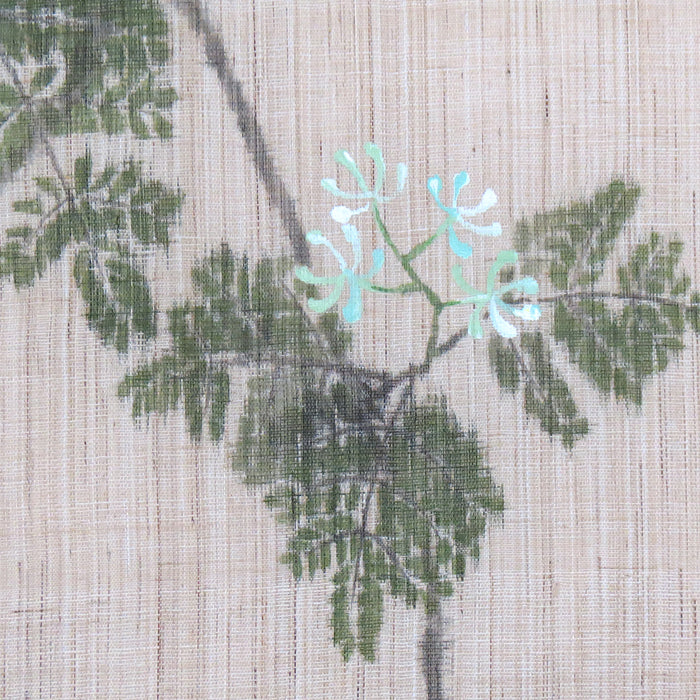  Hemp noren (Albizia julibrissin) kanki no hana